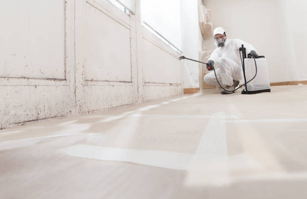 24/7 Emergency Bathroom Mold Removal experts in Brunswick, GA